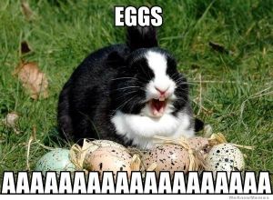easter-bunny-meme-eggs