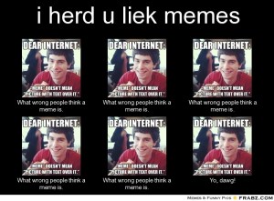 frabz-i-herd-u-liek-memes-What-wrong-people-think-a-meme-is-What-wrong-c90f79