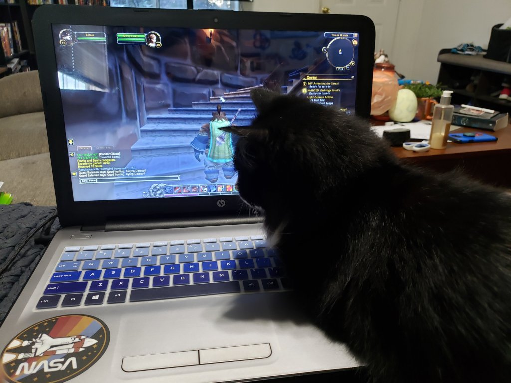 Well.. I Was&nbsp;Trying