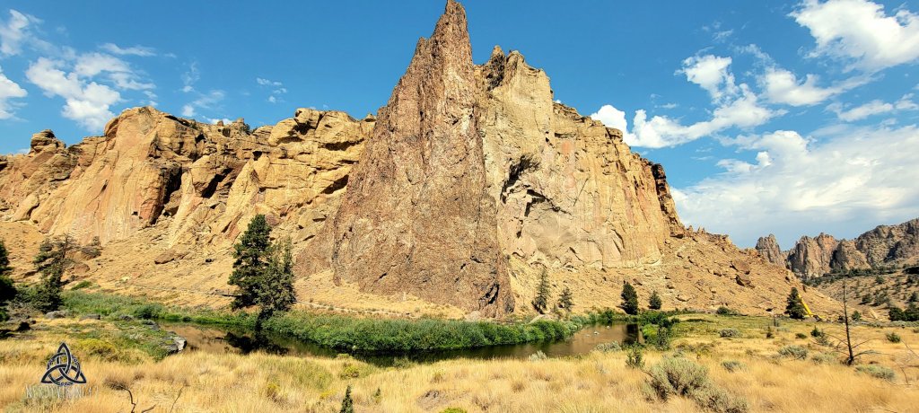 Rune of the Week 1: Fehu&nbsp;(ᚠ)