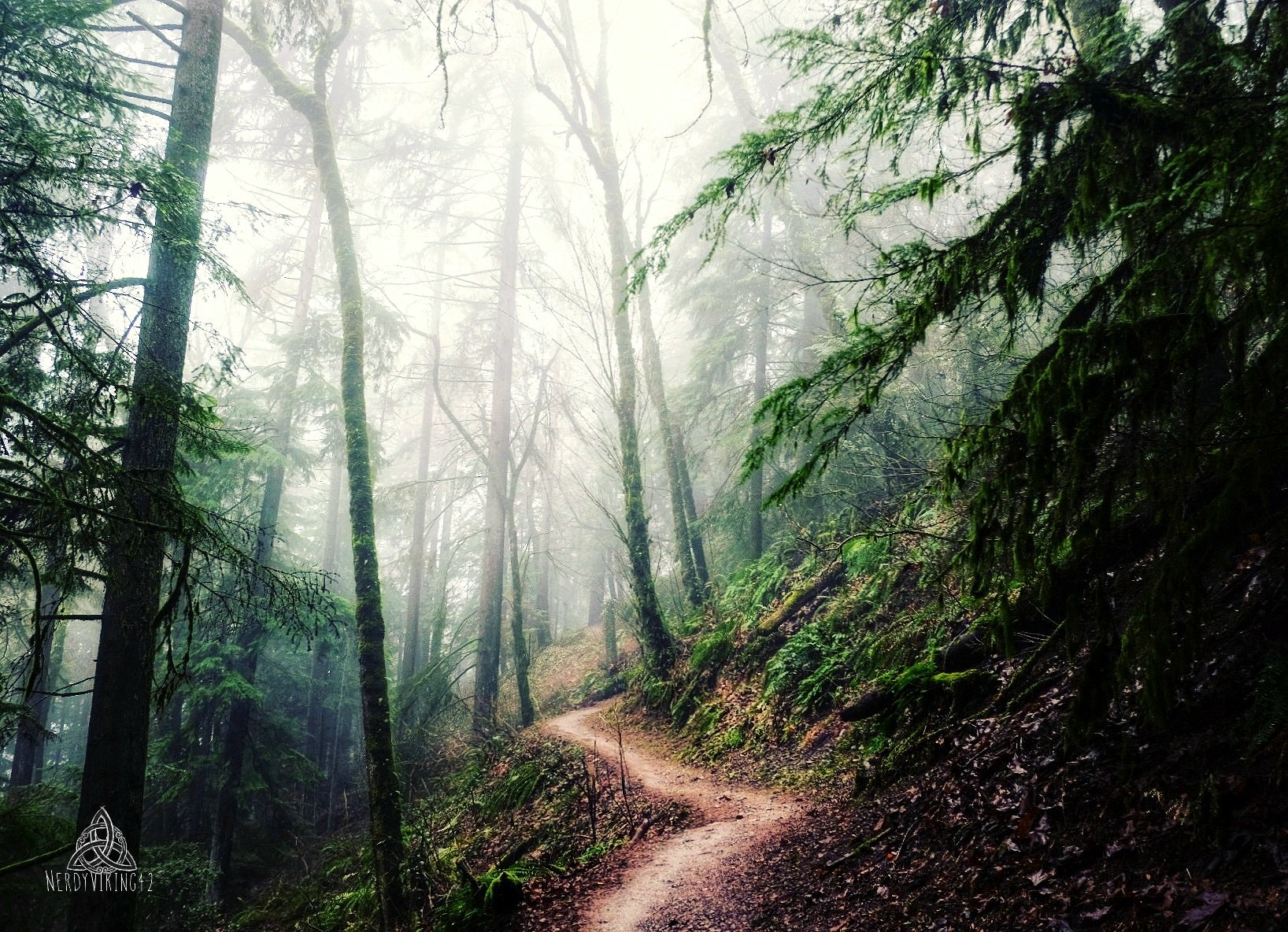 Getting Lost