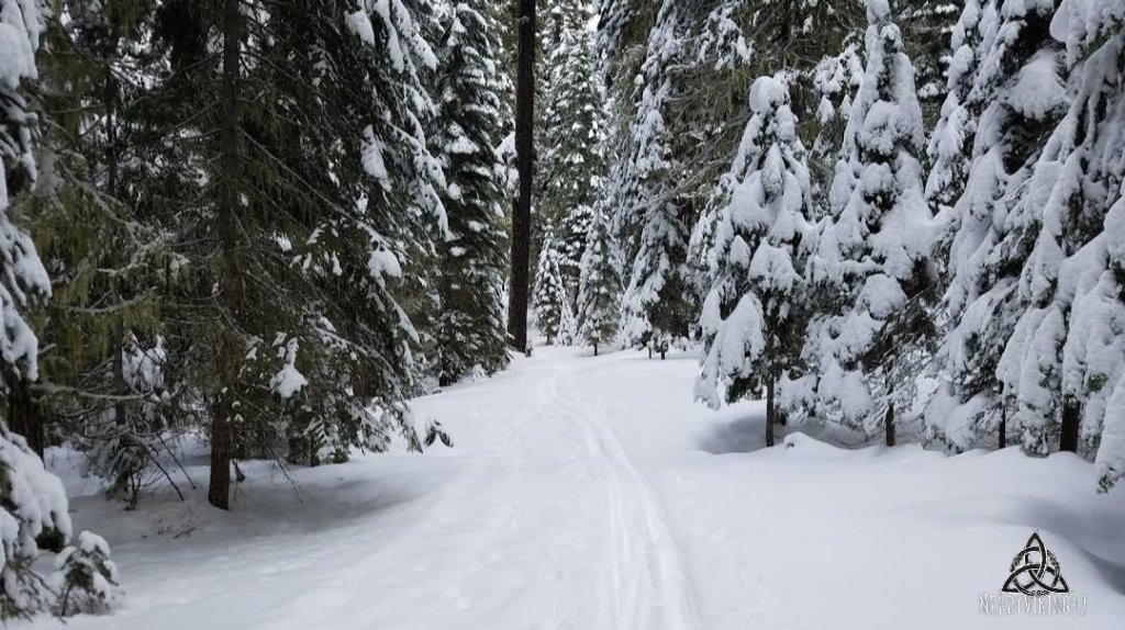 52 Photo Challenge: Week&nbsp;52