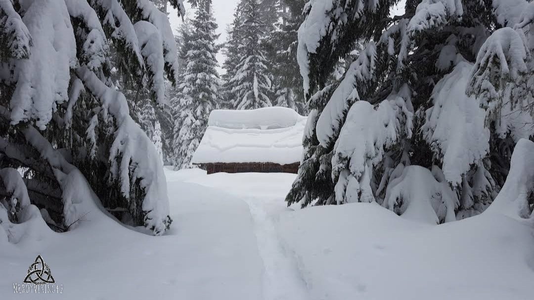 Snowy Escape