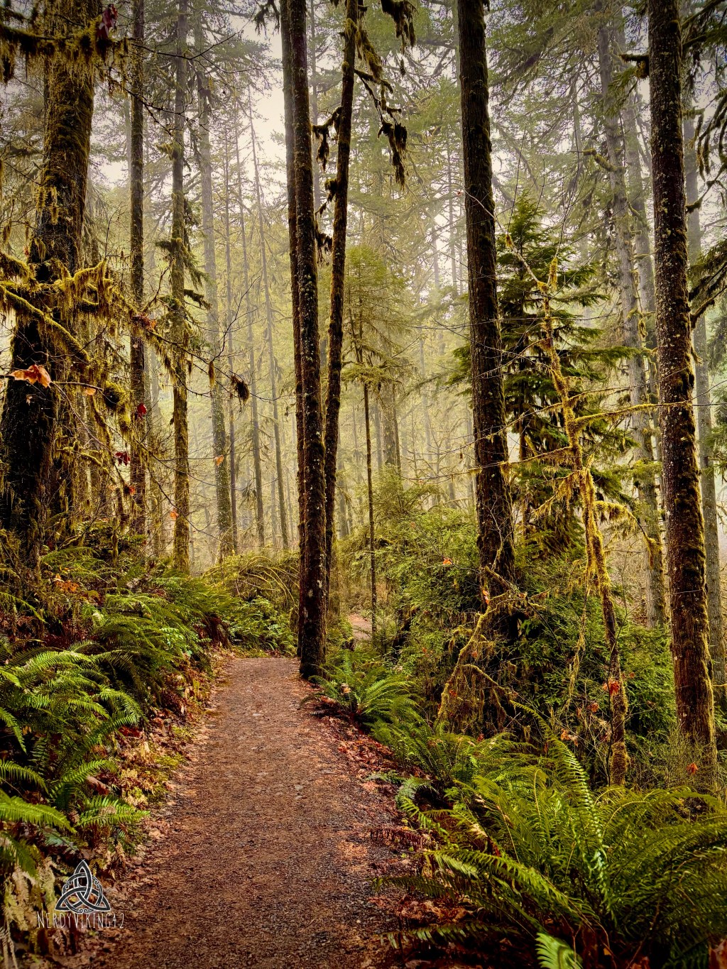 52 Photo Challenge: Week&nbsp;8