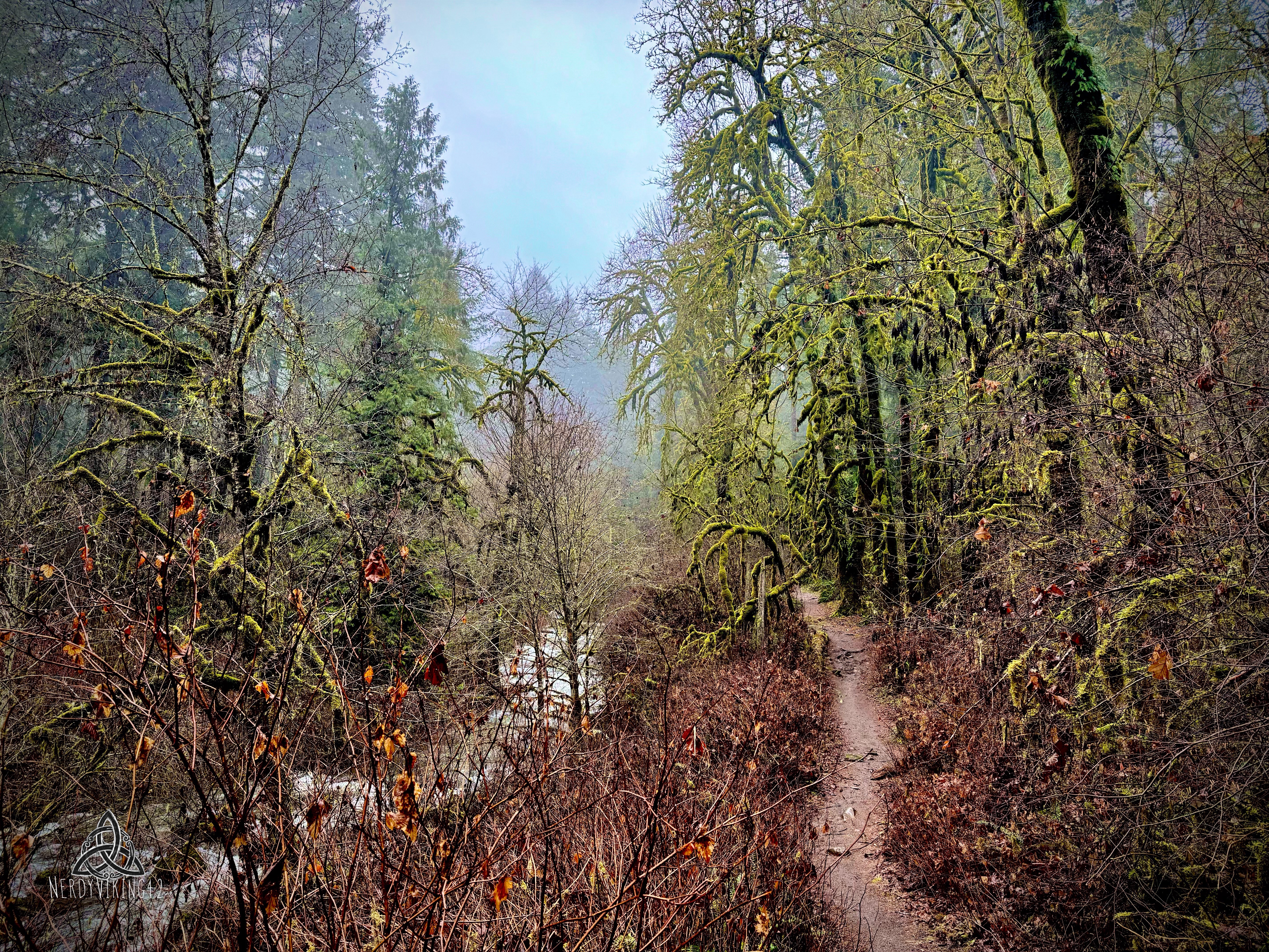 Hiking Journey