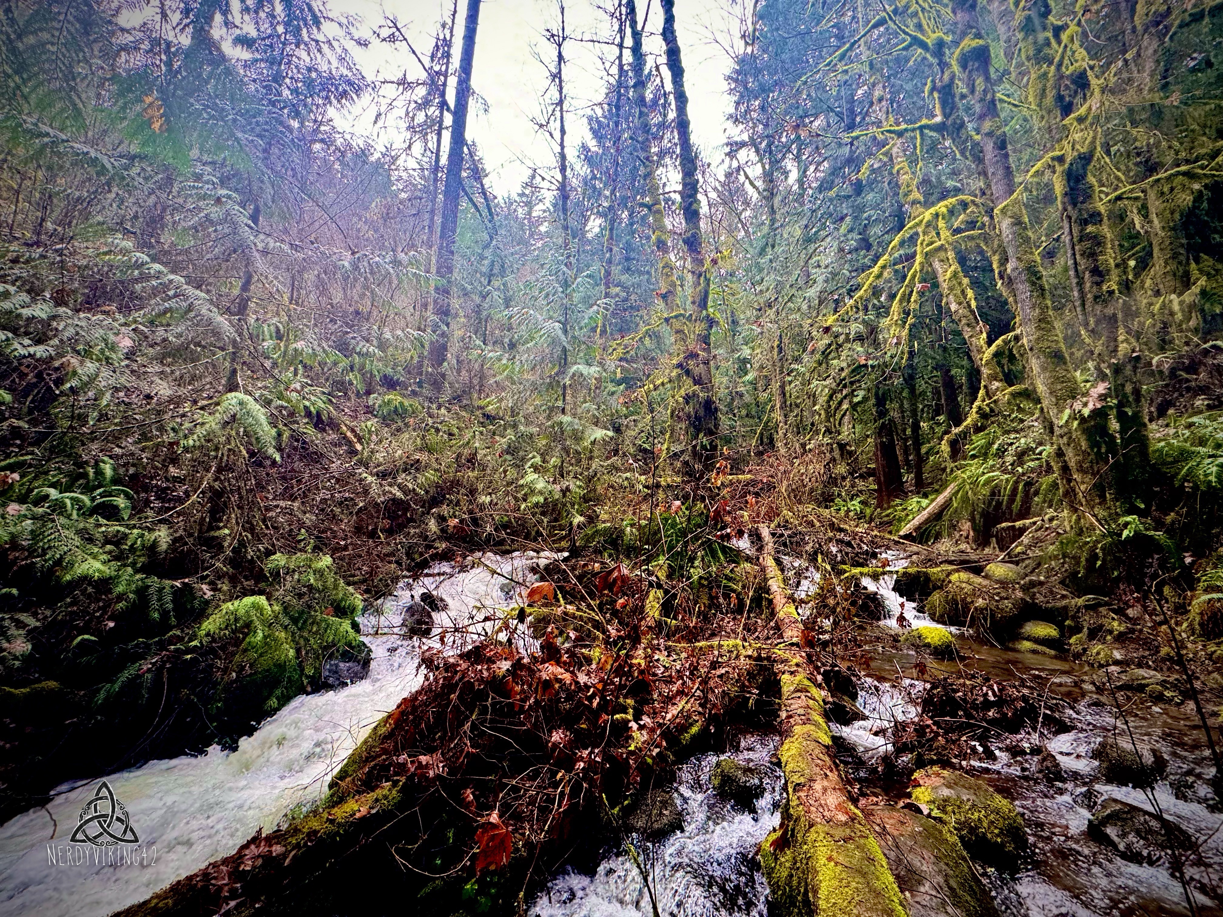Solo Hiking Adventure in the PWN