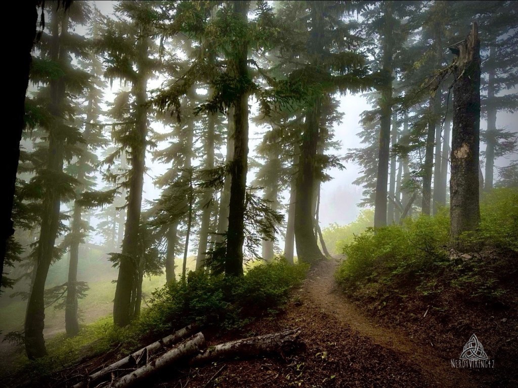 52 Photo Challenge: Week&nbsp;15