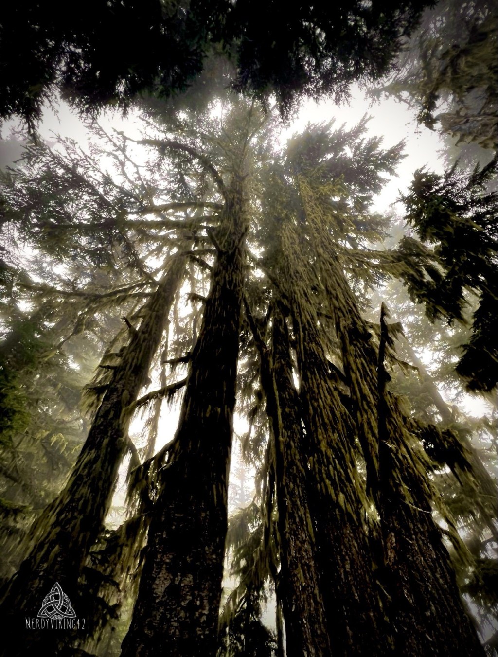 52 Photo Challenge: Week&nbsp;16