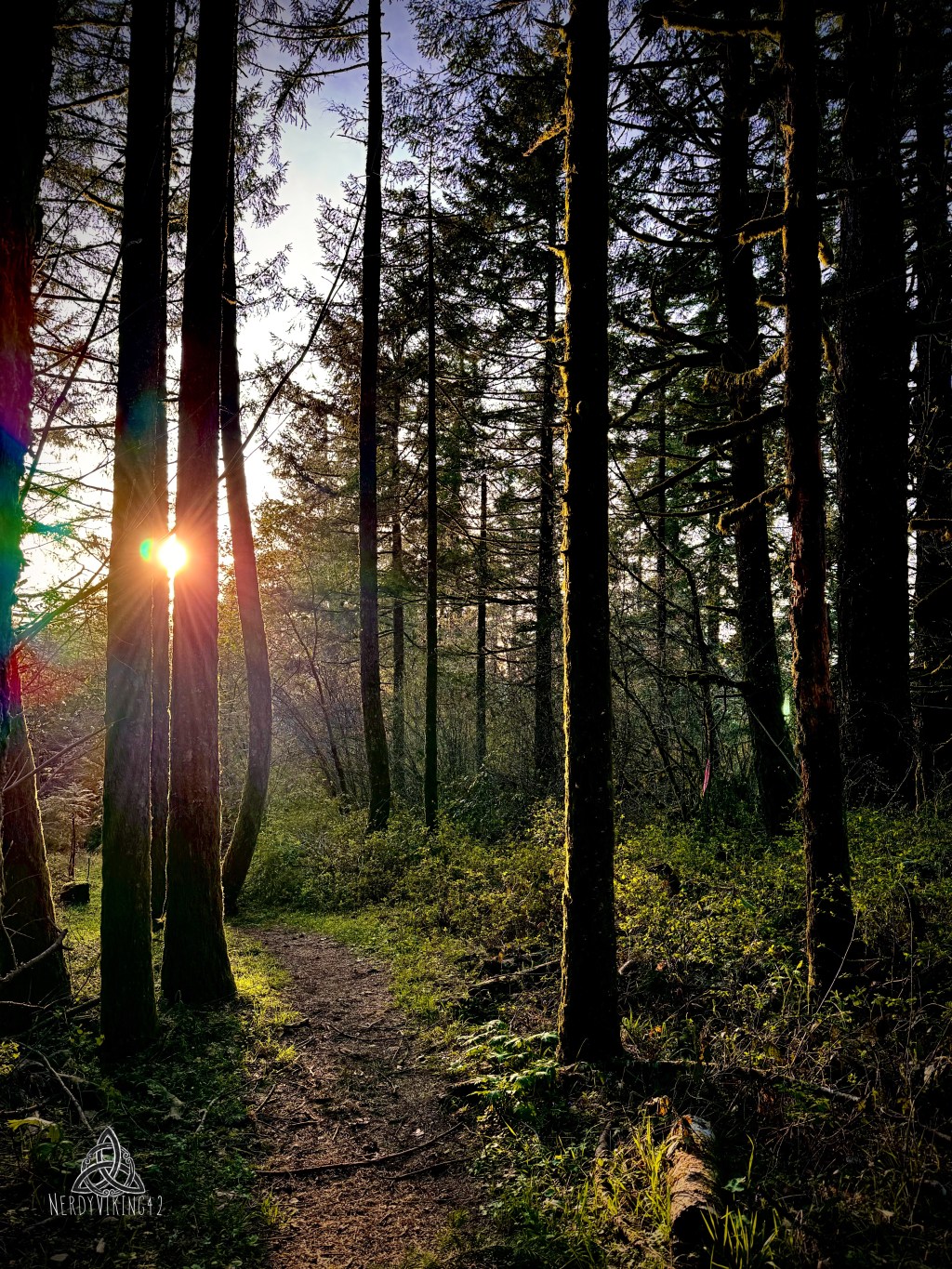 52 Photo Challenge: Week&nbsp;21