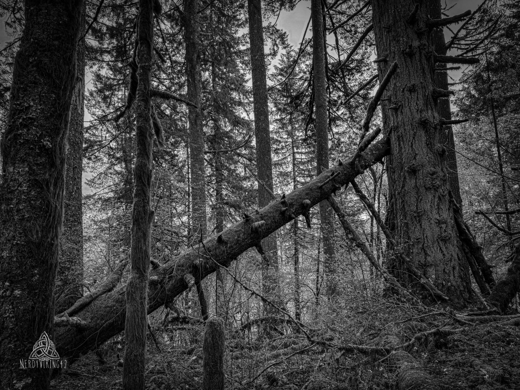 52 Photo Challenge: Week&nbsp;22