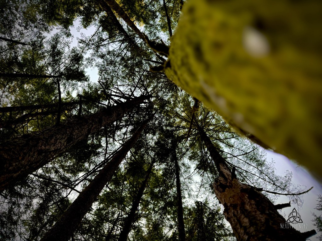 52 Photo Challenge: Week&nbsp;25