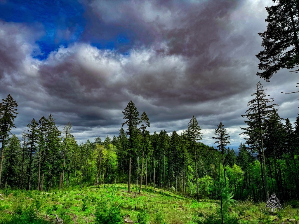 52 Photo Challenge: Week&nbsp;19