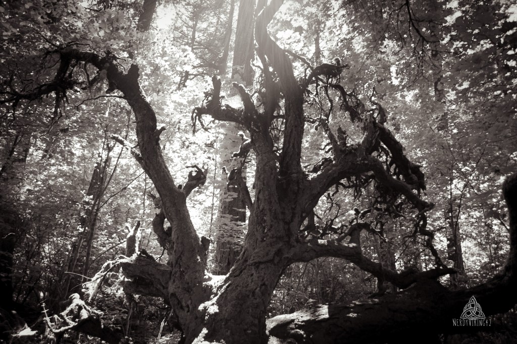 The Mighty Odin: Exploring the Allfather of Norse&nbsp;Mythology