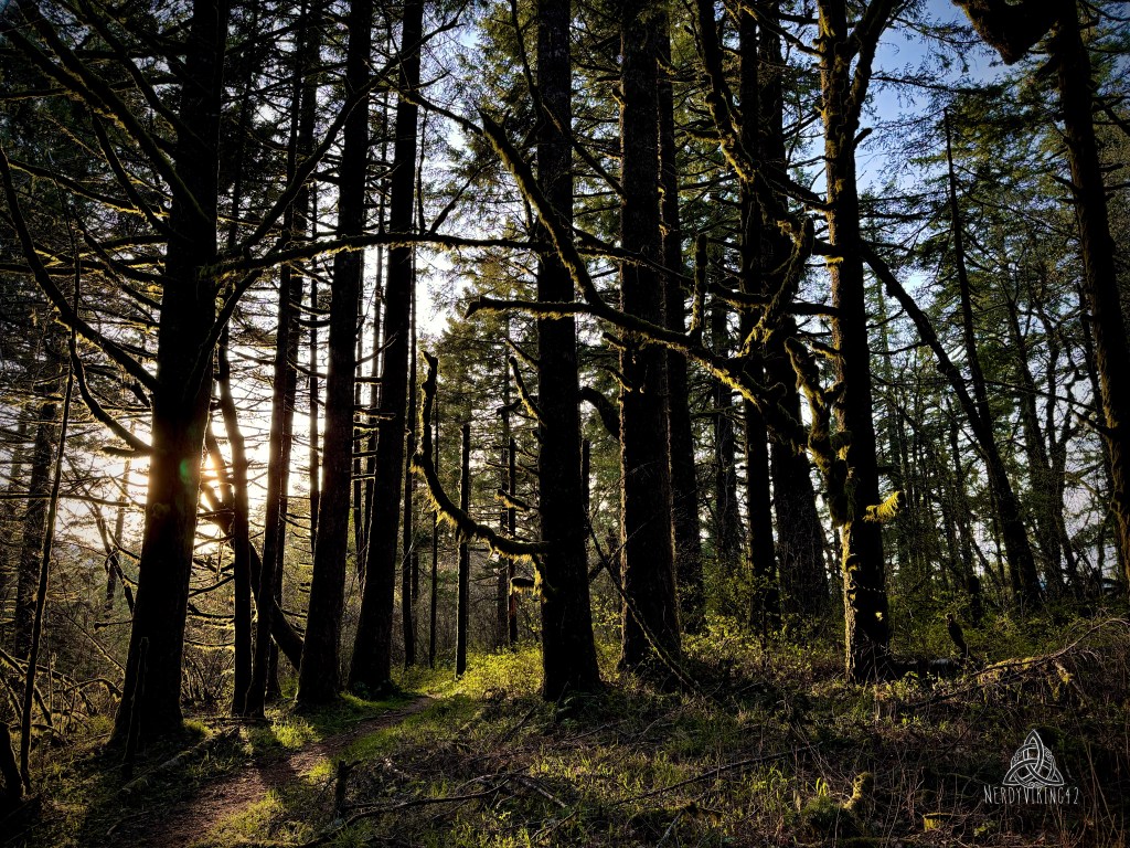 52 Photo Challenge: Week&nbsp;24