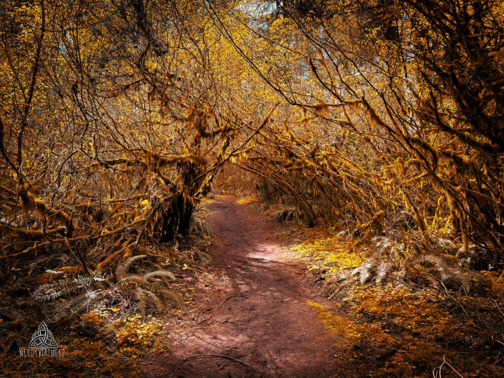 52 Photo Challenge: Week&nbsp;29