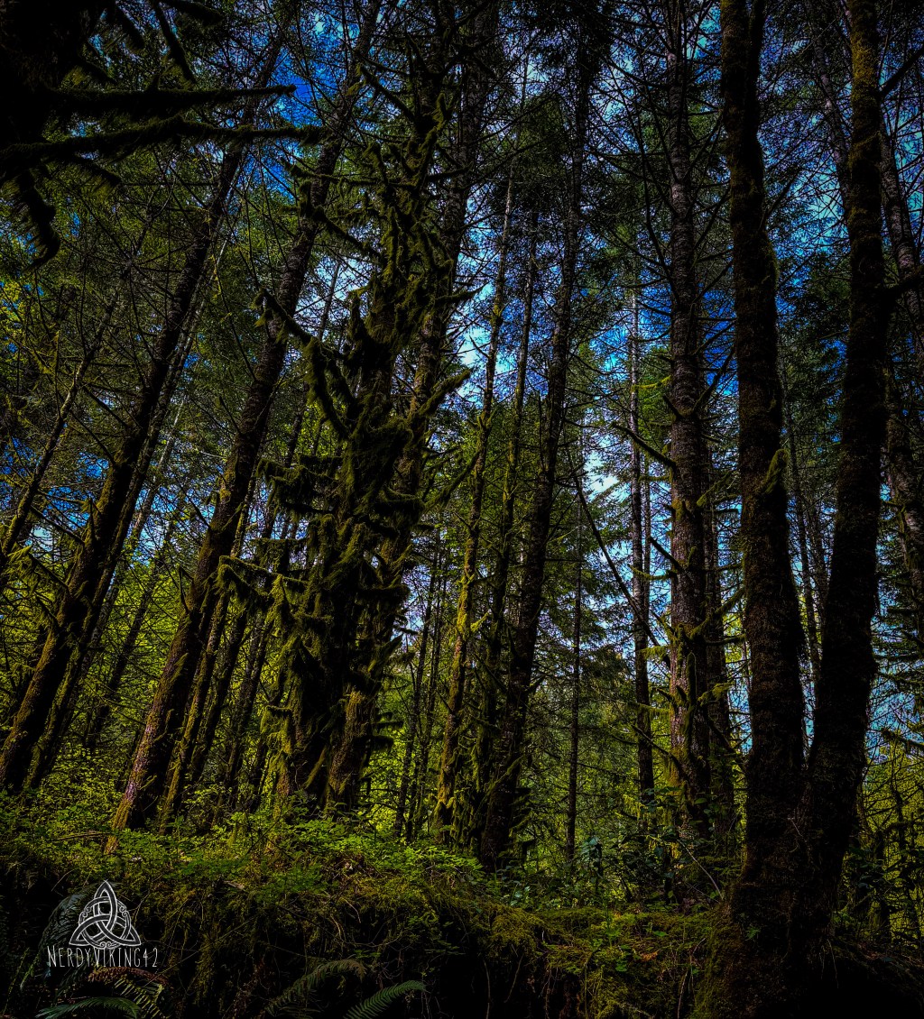 52 Photo Challenge: Week&nbsp;26