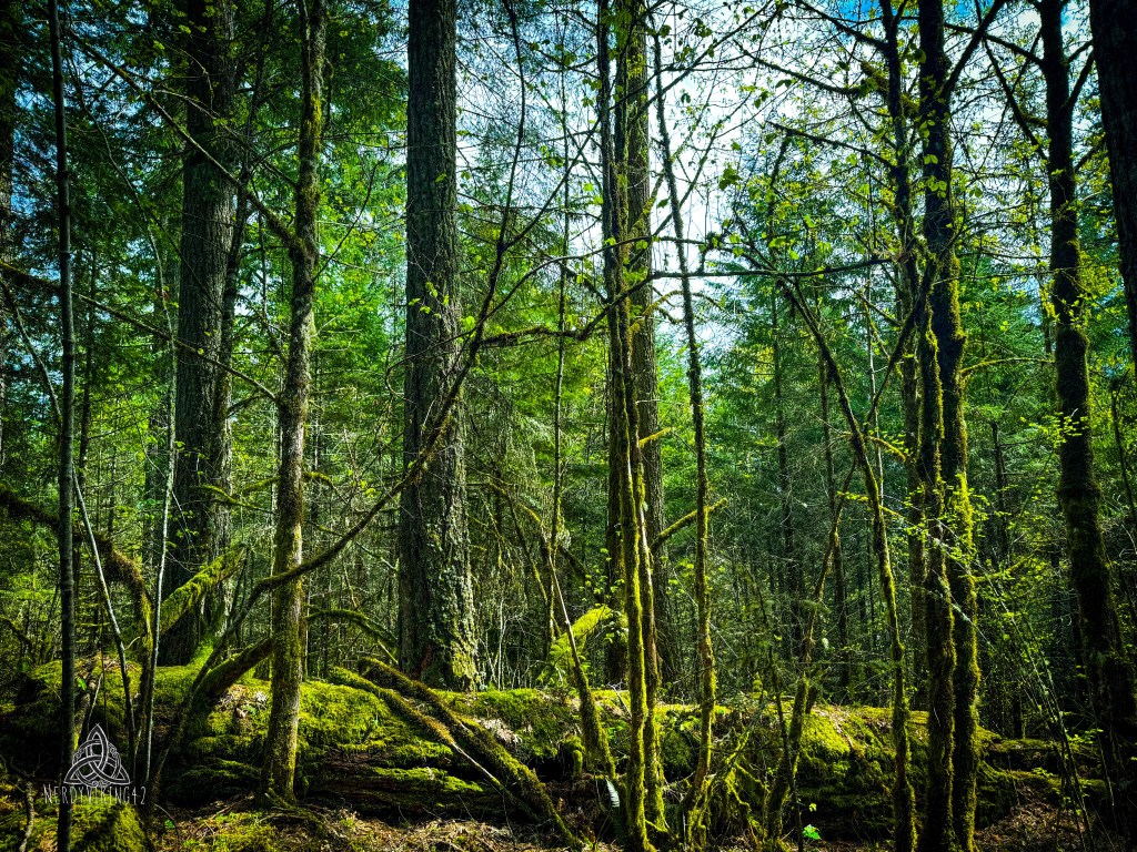 52 Photo Challenge: Week&nbsp;30