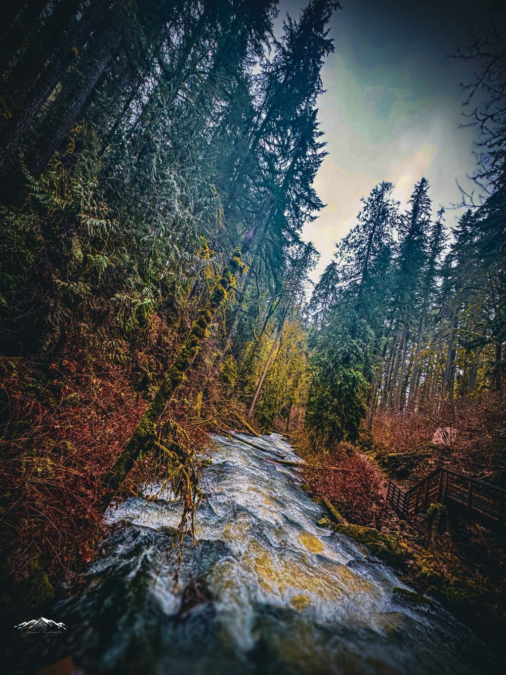 52 Photo Challenge: Week&nbsp;35