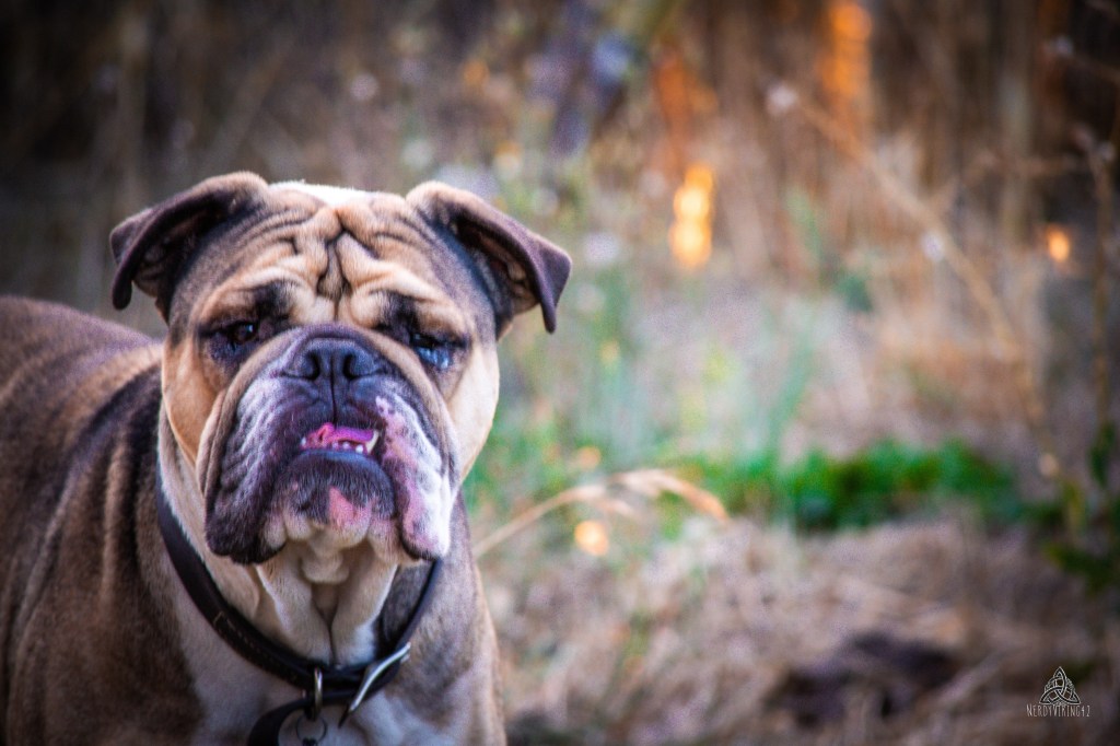 52 Photo Challenge: Week&nbsp;41