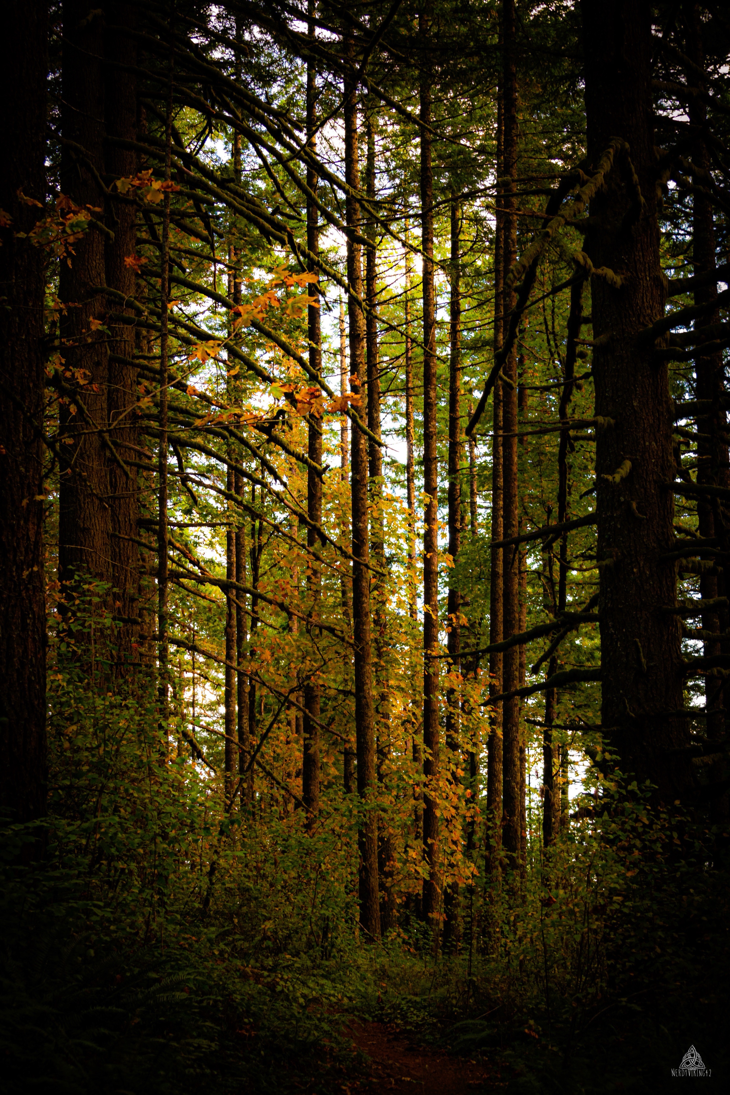The Allure of Fall and Winter Hiking Adventures