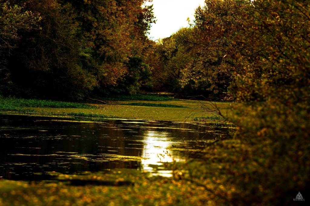 52 Photo Challenge: Week&nbsp;46