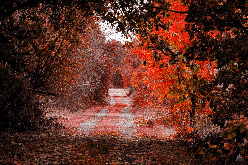 52 Photo Challenge: Week&nbsp;43