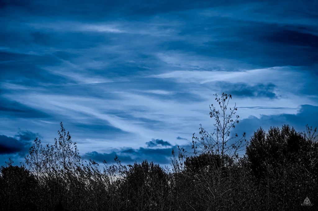 52 Photo Challenge: Week&nbsp;47