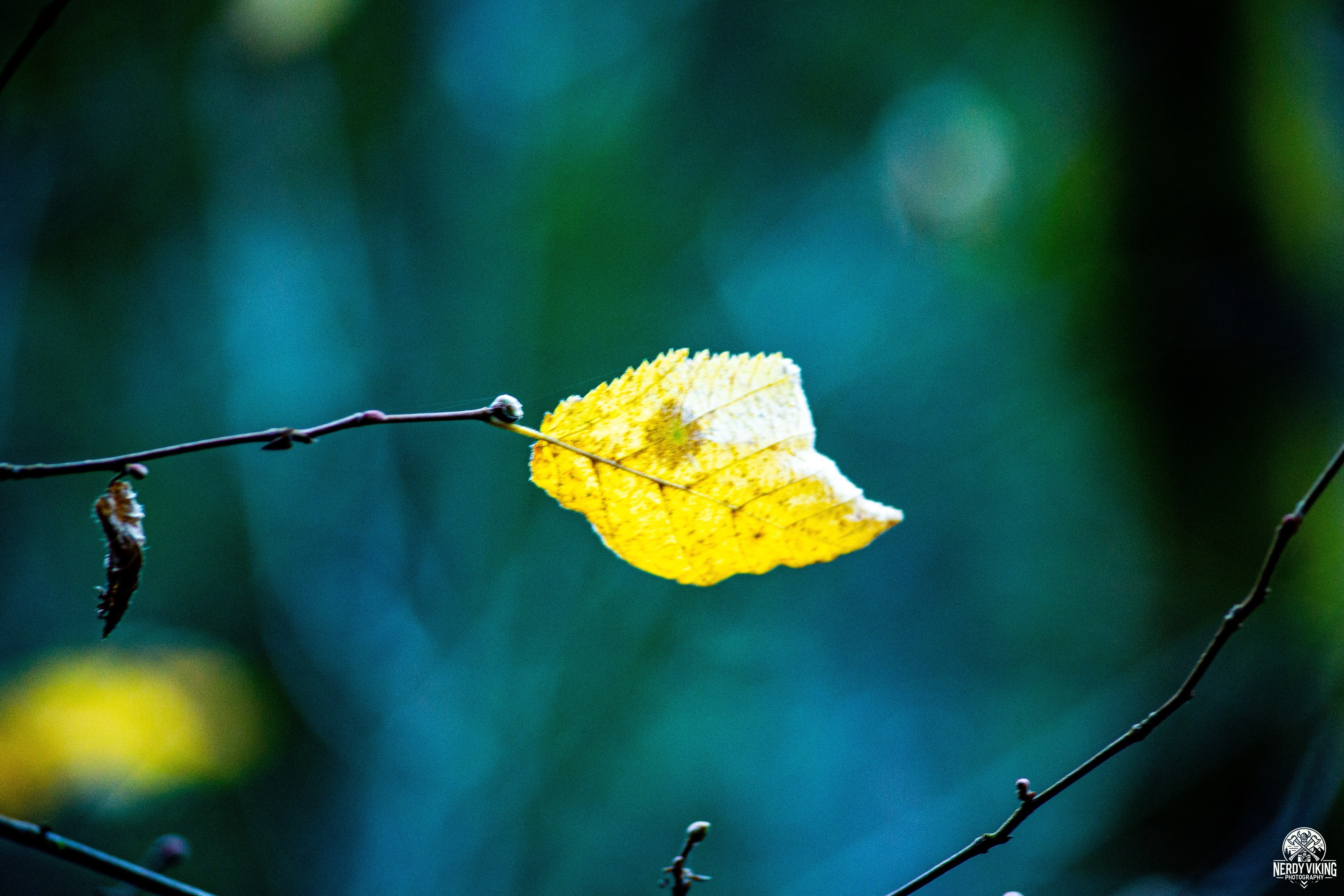 Something about Fall