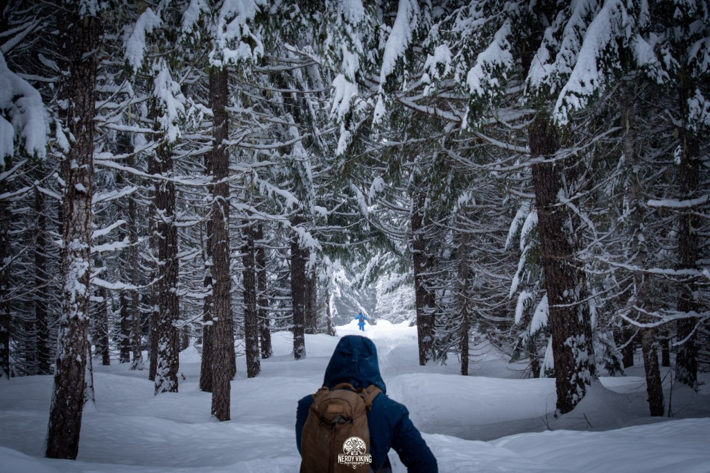 Snowshoeing and Photography at Big Springs Sno-Park: Part&nbsp;1