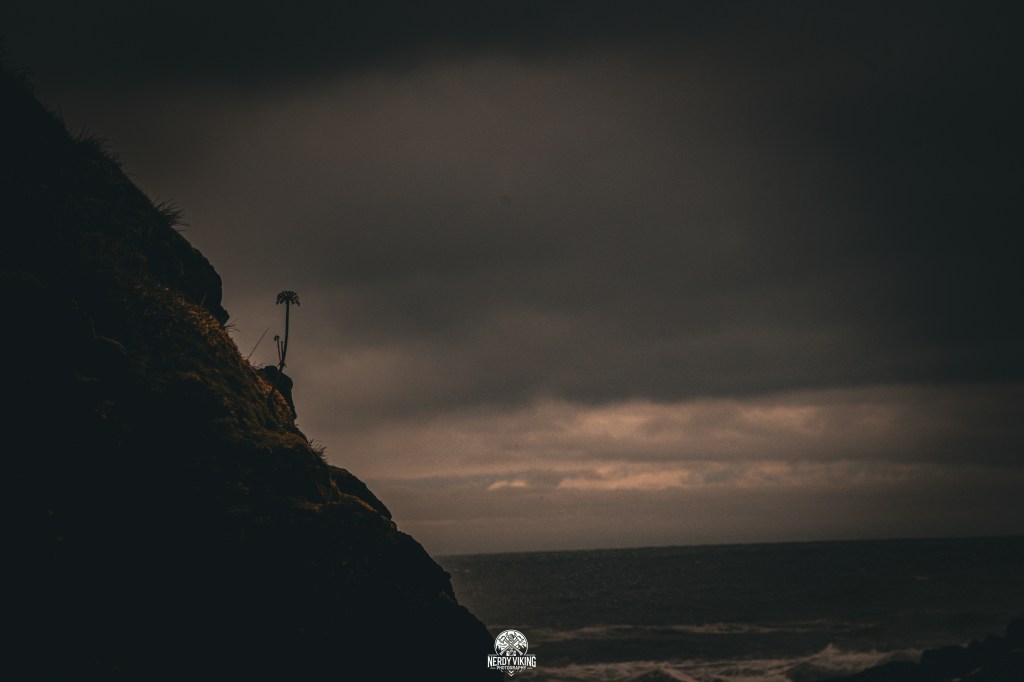 Clinging to the Edge – Newport,&nbsp;Oregon