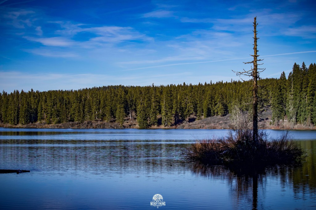 A Hike to Remember: Clear Lake,&nbsp;Oregon