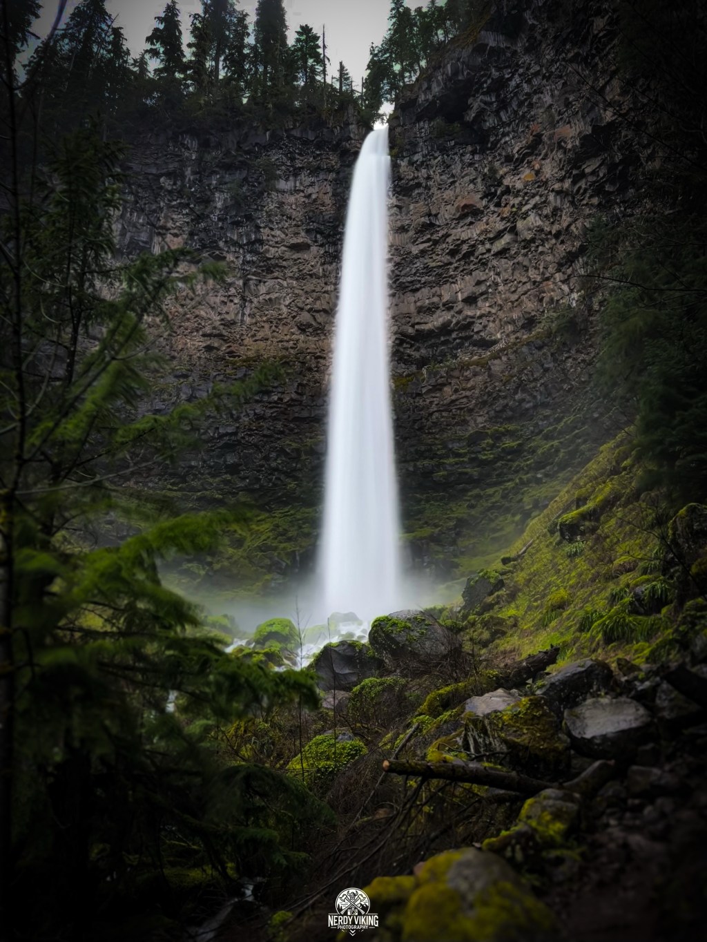 Wild Waters & Spring Bloom — A Journey Through Whistler’s Bend &&nbsp;Beyond