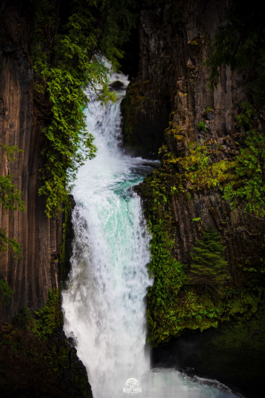 Through the Lens, Through the Madness – Entry&nbsp;#4