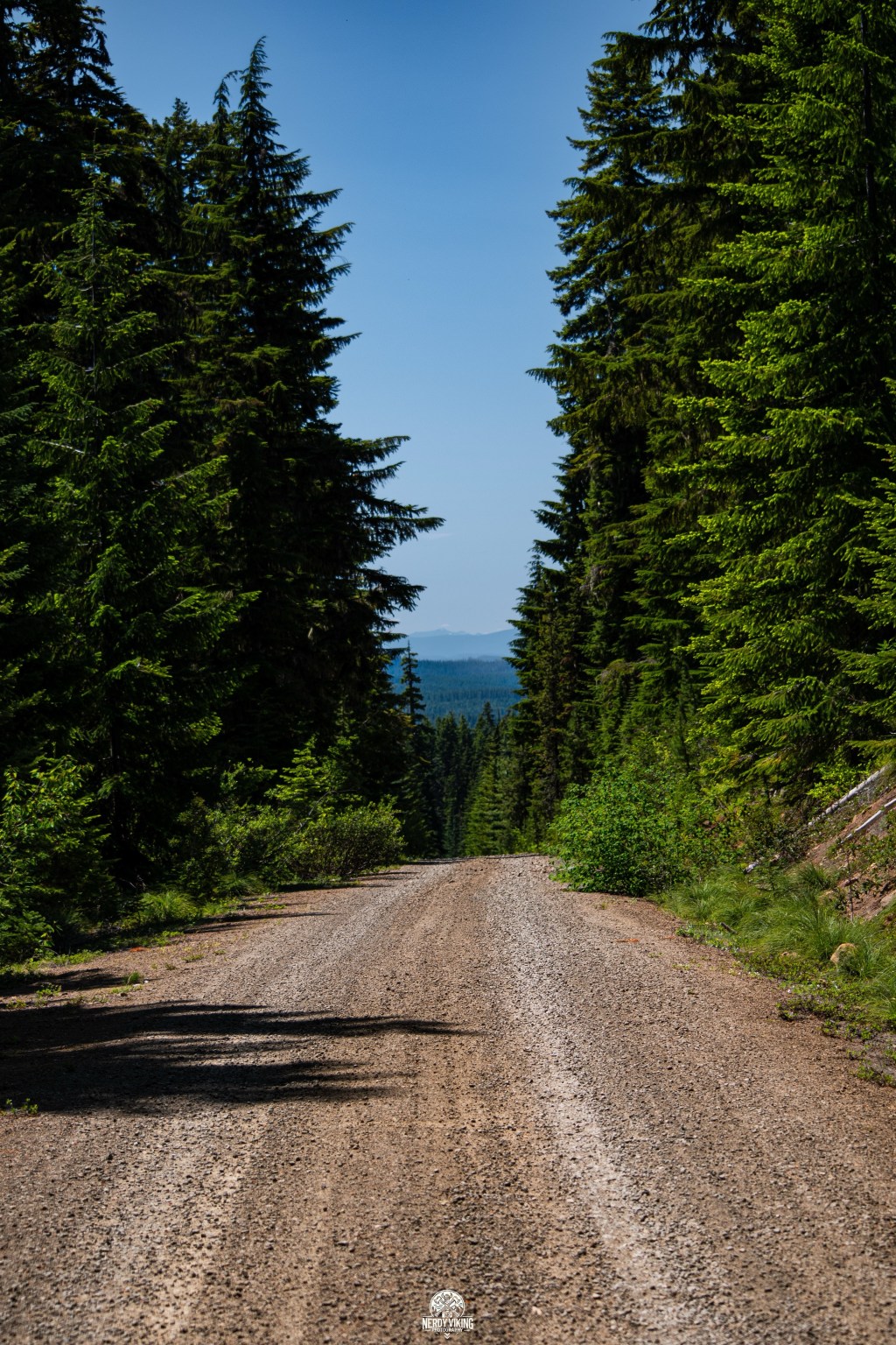 Legacy in the Lens – Entry 13: “The Road Between Madness and&nbsp;Meaning”