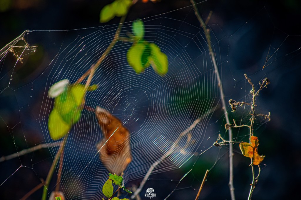 Fear and Loathing in the&nbsp;Reset