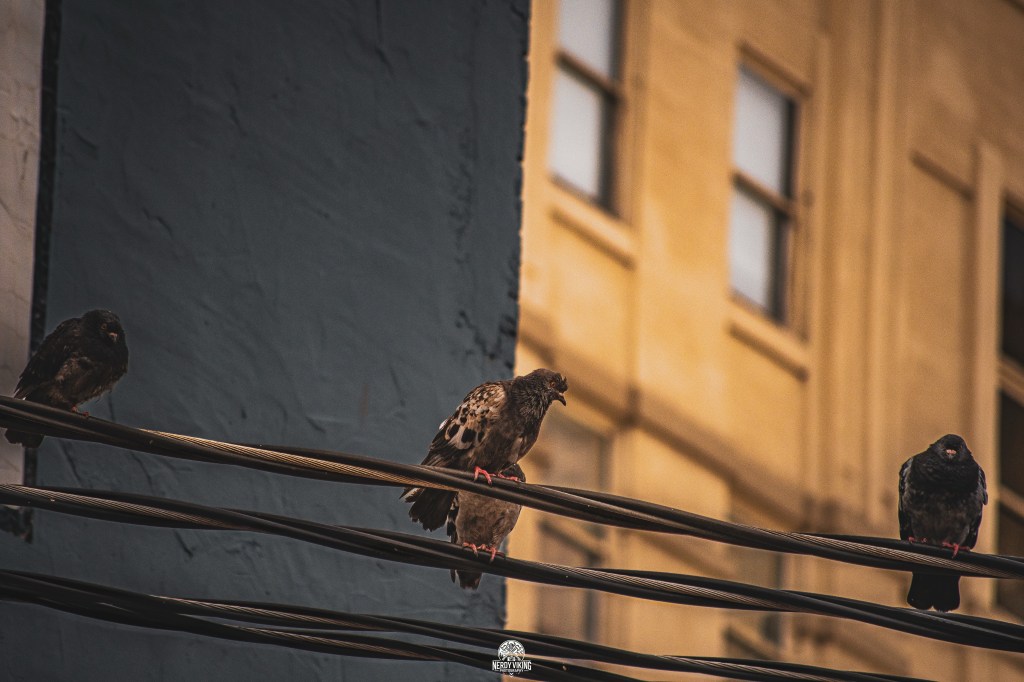 Guilty. Always guilty.